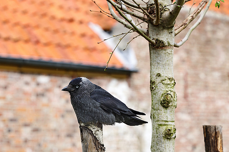 SDWA seniorenuitje2023_141